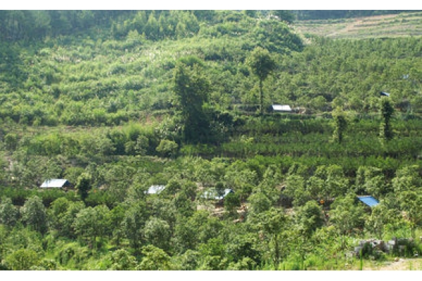 杭州民宿射箭04